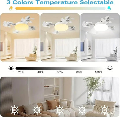 F4- Multifunctional Fan Light Ⓢ