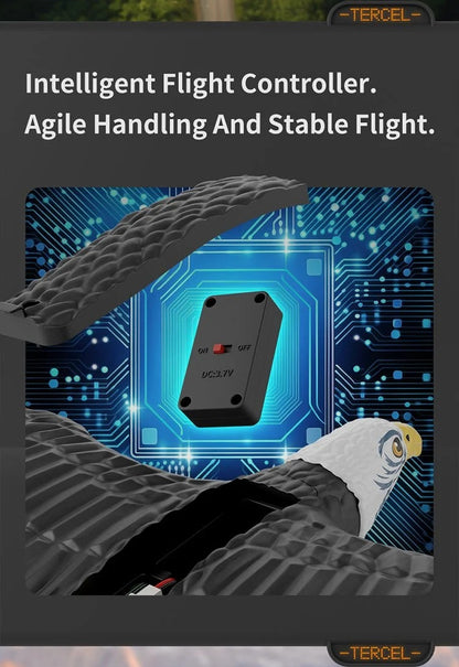 RC Eagle For Kids